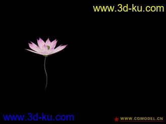 3D打印模型新做的荷花的图片