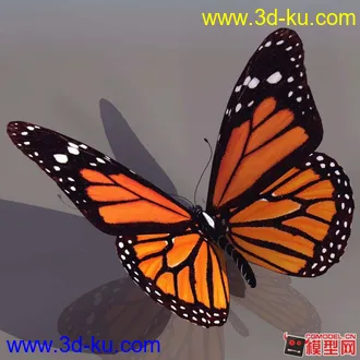 3D打印模型蝴蝶下载（忘记附图了）的图片