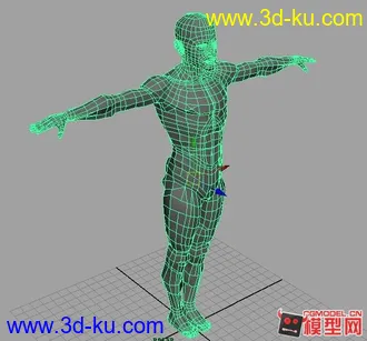 3D打印模型男性人体肌肉的图片