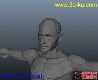 3D打印模型男性人体肌肉的图片
