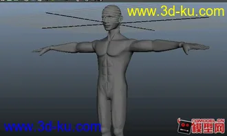 3D打印模型处女作，自己看教程做了一下午一晚上，头是前两天做的 有待改正 大神多多指点~！的图片
