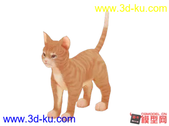 小猫模型的图片