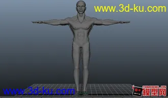 3D打印模型新手作品 长这么大第一次做人体 ，手、脚、头 各个部位都有细化。大神多多指点~！的图片