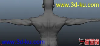 3D打印模型新手作品 长这么大第一次做人体 ，手、脚、头 各个部位都有细化。大神多多指点~！的图片