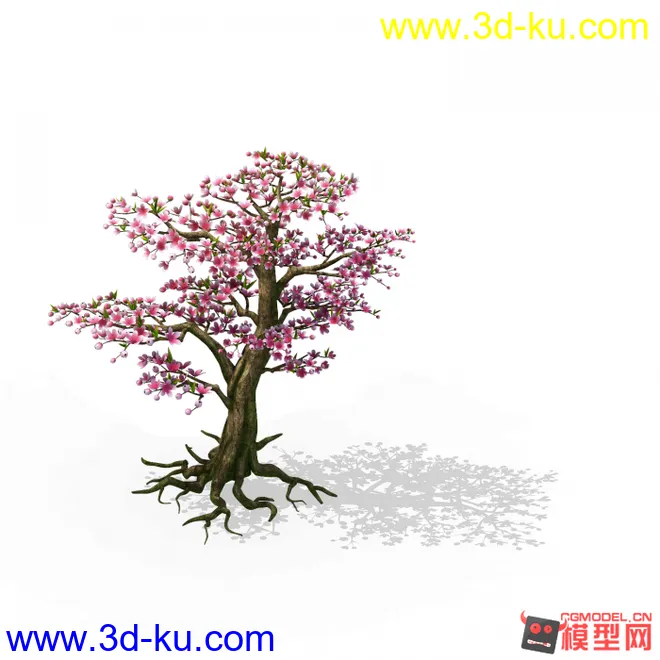 桃树模型的图片1