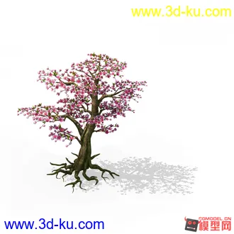 桃树模型的图片
