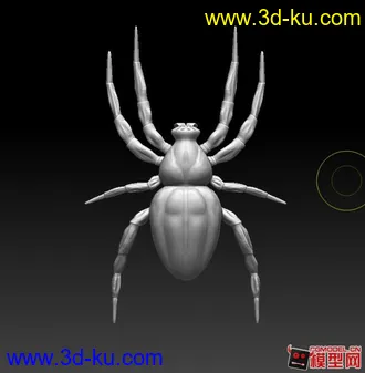 3D打印模型蜘蛛的图片