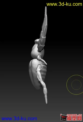 3D打印模型蜘蛛的图片