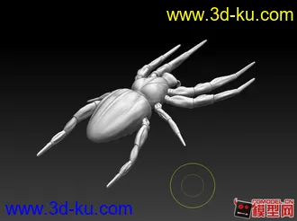 3D打印模型蜘蛛的图片