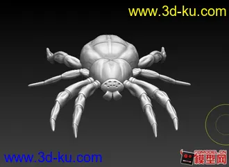 3D打印模型蜘蛛的图片
