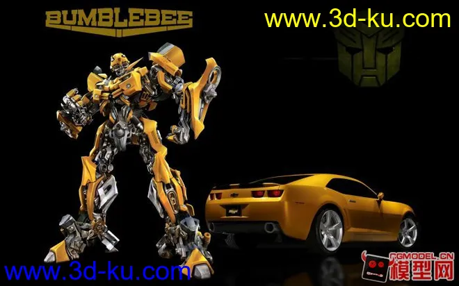 Bumble bee model模型的图片1