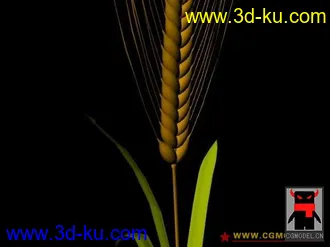 3D打印模型麦穗的图片