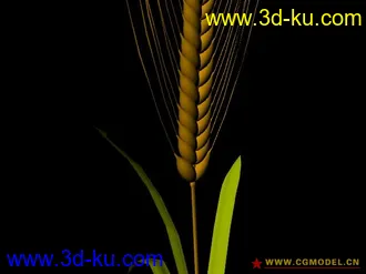 3D打印模型麦穗的图片