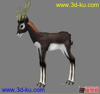3D打印模型羚羊的图片