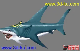 3D打印模型鲨鱼`~的图片