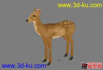 3D打印模型梅花鹿的图片