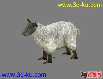 3D打印模型绵羊的图片