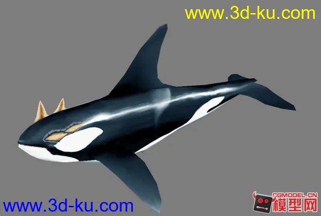 鲸鱼~模型的图片1