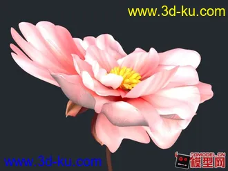3D打印模型一朵花的图片