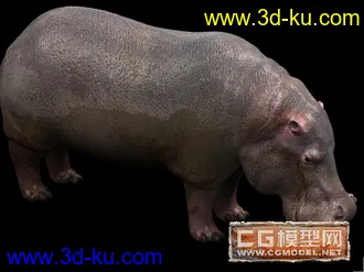 3D打印模型河马的图片