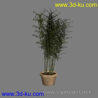 一套游戏植物模型的图片