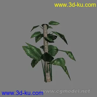 一套游戏植物模型的图片