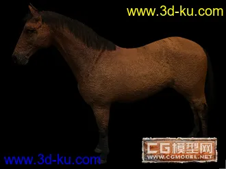 3D打印模型马的图片