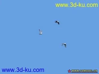 3D打印模型动画远景用的鸟  带动画  实用的图片
