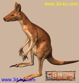 3D打印模型袋鼠的图片