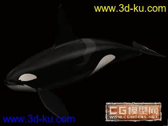 3D打印模型鲸鱼的图片