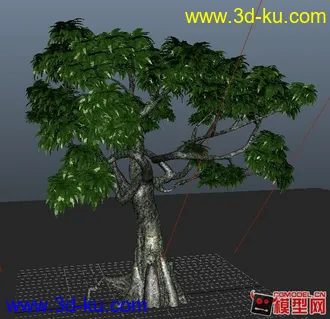 收集的超精细树木模型，大家分享学习下！的图片