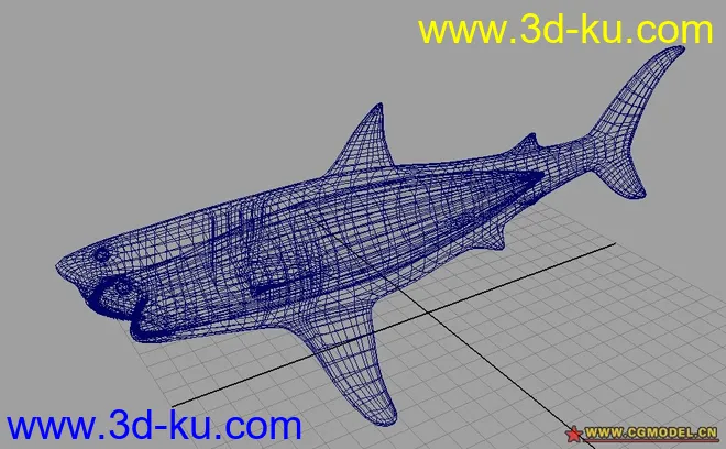 鲨鱼模型的图片2