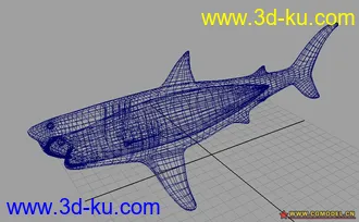 3D打印模型鲨鱼的图片