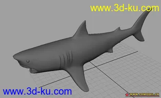 3D打印模型鲨鱼的图片