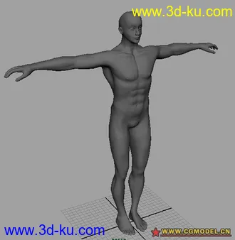3D打印模型一个男裸模的图片