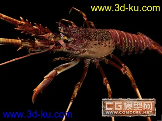 3D打印模型龙虾的图片