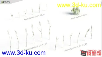 草集合-影视级高精max模型的图片