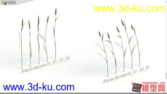 草集合-影视级高精max模型的图片
