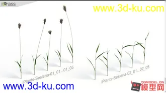 草集合-影视级高精max模型的图片