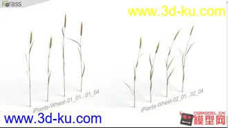 草集合-影视级高精max模型的图片