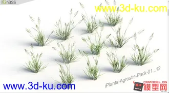草集合-影视级高精max模型的图片