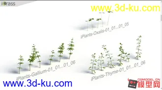 草集合-影视级高精max模型的图片