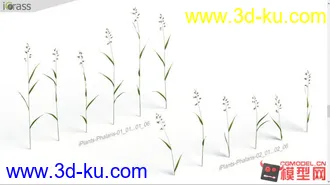 草集合-影视级高精max模型的图片