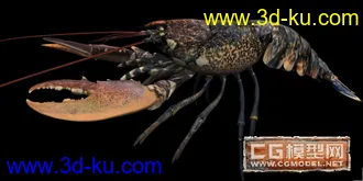 3D打印模型龙虾2的图片