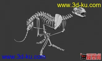 3D打印模型奔跑猎豹 骨架的图片