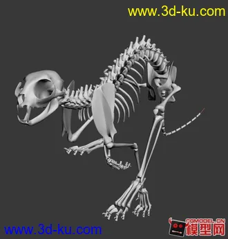 3D打印模型奔跑猎豹 骨架的图片