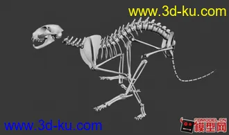 3D打印模型奔跑猎豹 骨架的图片