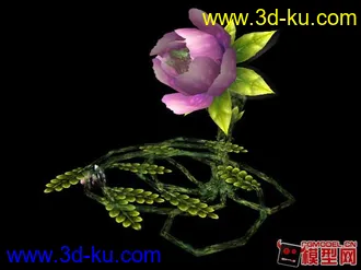 天母花精模型的图片