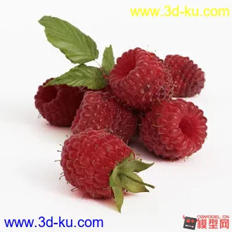 3D打印模型果的图片