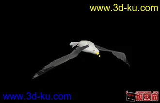 3D打印模型自己制作海鸥 骨骼绑定带动画的图片